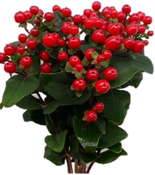 Premium Farm-Fresh Red Floral Filler Stems