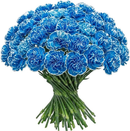 Vibrant Blue Carnations for Elegant Arrangements